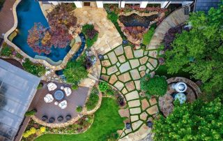 The Best Plants For Your Dallas Texas Home The Best Plants For Your Dallas Texas Home